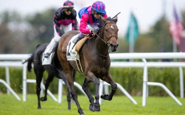 【サンクルー7R】武豊騎手はメイショウフェリシティに騎乗し8着