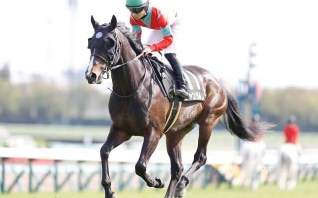 【本日の注目ポイント】中山でスプリンターズS　凱旋門賞に日本馬2頭参戦！