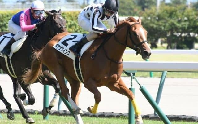 【中京5R新馬戦結果】エピファネイア産駒タナザウィングが内から抜け出す