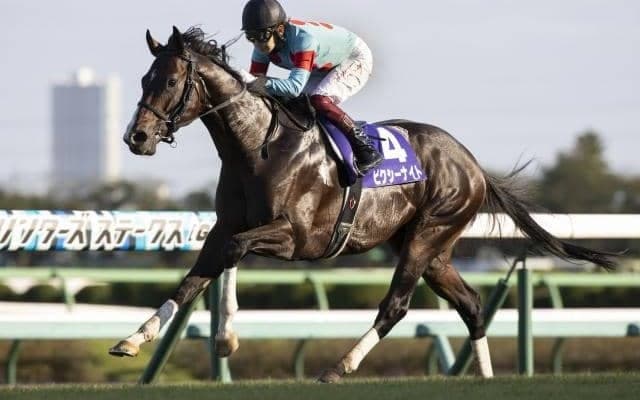 【スプリンターズS結果】3歳馬ピクシーナイトが突き抜けて秋のスプリント王！