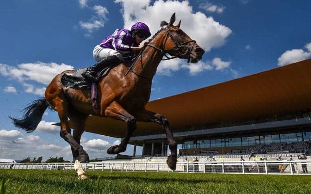 【凱旋門賞／JRA発売オッズ】クロノジェネシスが3.5倍で1番人気　4.3倍の2番人気にディープ産駒・スノーフォール