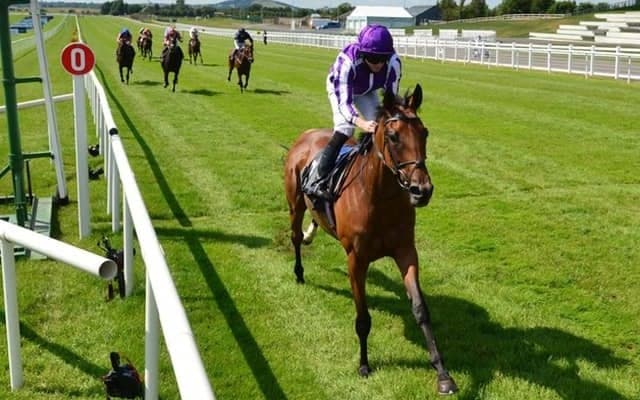 【凱旋門賞注目馬】ディープインパクトの志を受け継ぐ遺児が世界制覇に向けて虎視眈々