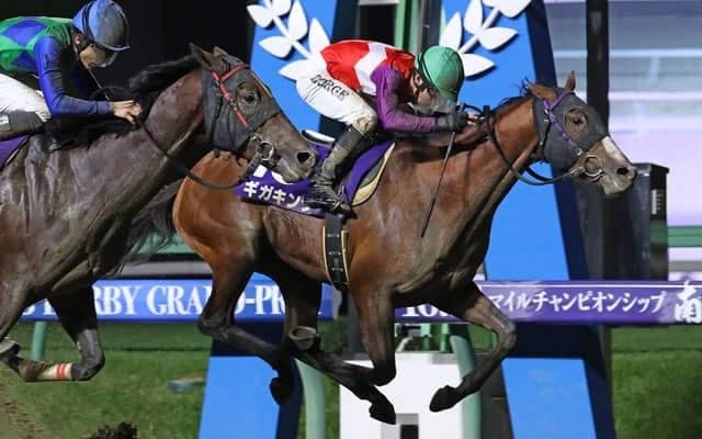 【盛岡・ダービーグランプリ結果】キングヘイロー産駒ギガキングが叩き合いを制す