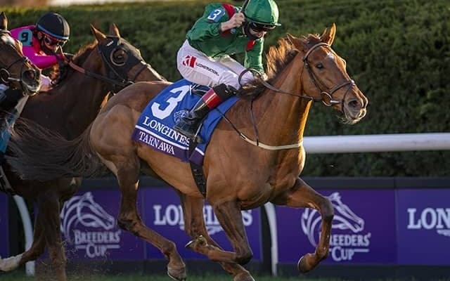 【凱旋門賞注目馬】日本馬の前に立ちはだかるフランスの名手と女傑の強力タッグ