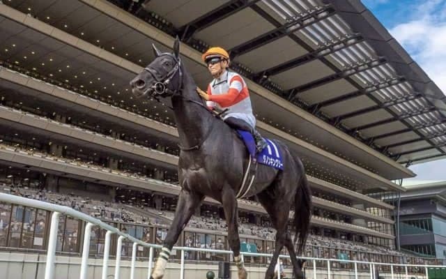 秋の東京・阪神・新潟開幕 注目はGI前哨戦の毎日王冠と京都大賞典/今週の競馬界の見どころ