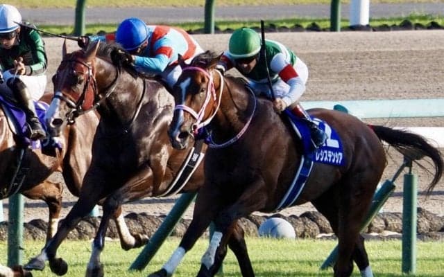 【スプリンターズS】ルメール「ちょっと忙しかった」レース後ジョッキーコメント