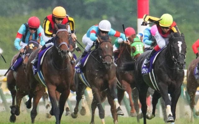 【毎日王冠登録馬】シュネルマイスターなど13頭