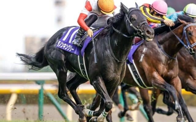 【毎日王冠見どころ】ダノンキングリー、2度目の制覇なるか