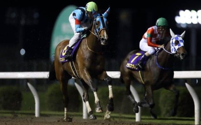 【大井・レディスプレリュード枠順確定】ウェルドーンは6枠6番、テオレーマは3枠3番