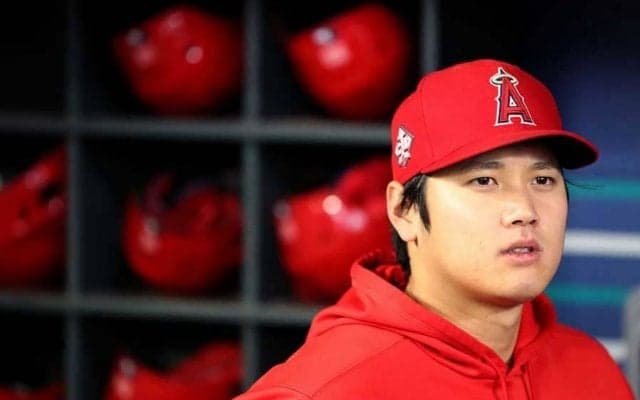 【MLB】ありがとう大谷翔平　地元放送局が「魔法のような」奇跡のシーズンを“絵画”に
