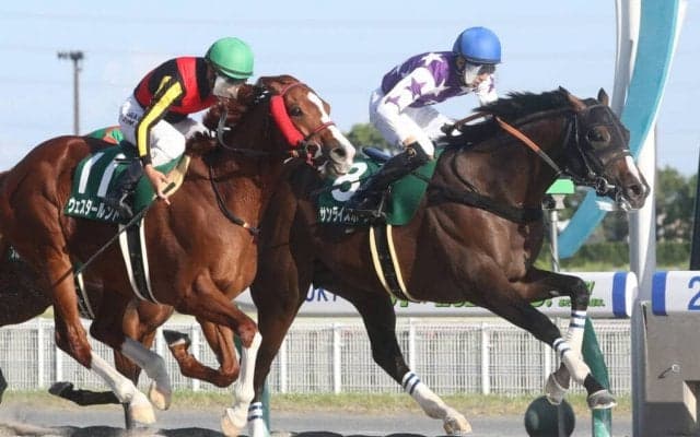 【シリウスS】サンライズホープがしぶとく粘りこむ！重賞初制覇