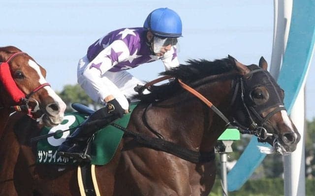 【シリウスS】幸「上でも走ってくれる」サンライズホープが重賞初V