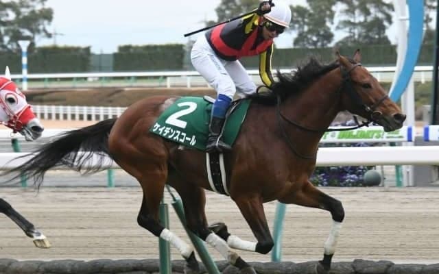 【毎日王冠予想】AIが軸に指名したのは中穴のスピードマイラー！