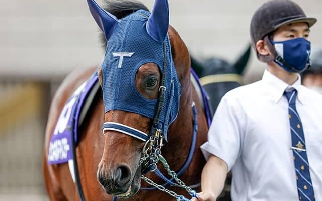 【毎日王冠想定騎手】シュネルマイスターはC.ルメール騎手、ダノンキングリーは川田将雅騎手