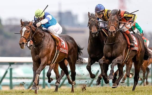 【京都大賞典想定騎手】アリストテレスはM.デムーロ騎手、モズベッロは池添謙一騎手