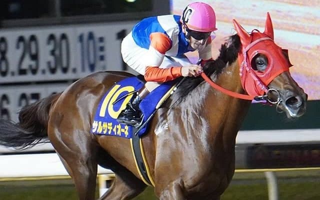 7歳にしてさらに進化！  “孝行娘”サルサディオーネがDG制覇の快挙