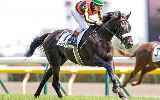 【サウジアラビアRC想定騎手】コマンドラインはC.ルメール騎手、ステルナティーアは福永祐一騎手