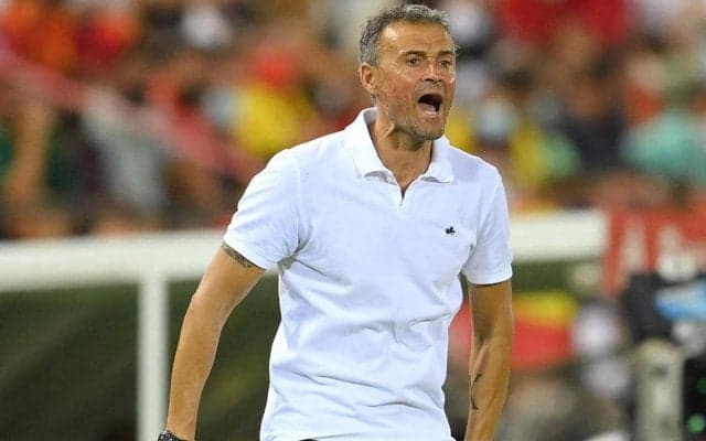 ユーロ準決勝のリベンジを、スペイン代表ルイス・エンリケ監督がイタリア代表戦へ意気込み「試合を楽しみにしてい」