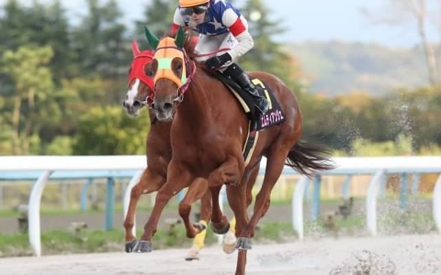 【門別競馬情報】遠征馬ら大活躍の流れに乗って金沢でも重賞制すか門別2歳勢！ エンリル＆オンストロン「第23回兼六園ジュニアカップ」/地方競馬情報