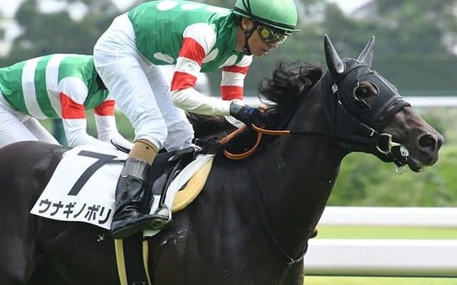 【サウジアラビアRC】新種牡馬ドレフォン産駒の珍名馬「ウナギノボリ」に注目