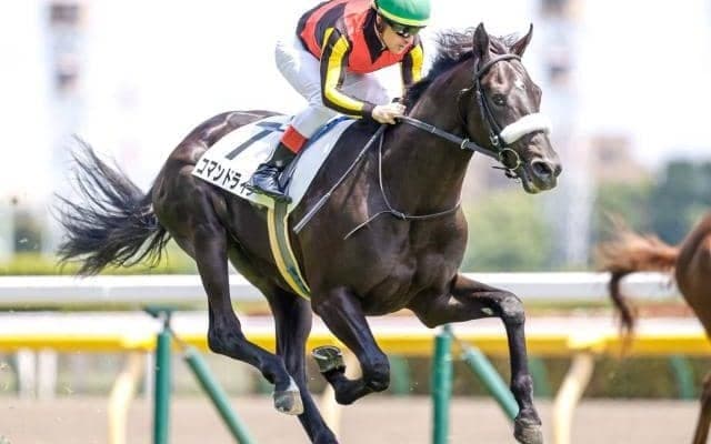 【サウジアラビアRC予想オッズ】コマンドラインが予想1番人気、ステルナティーアが続く