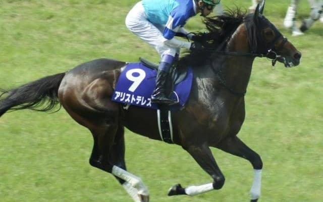 【京都大賞典予想オッズ】アリストテレスが予想1番人気