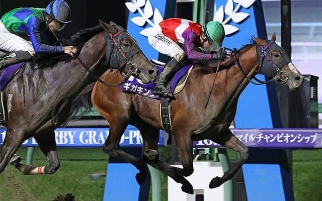 1着賞金が1500万円→2000万円に！ レース名にふさわしい面々が顔を揃えたダービーグランプリ