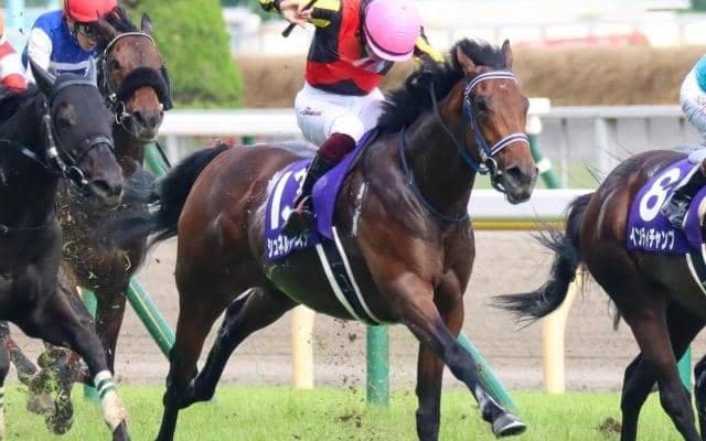 【毎日王冠展望】開幕週の高速馬場でマイラーが活躍しやすいレース