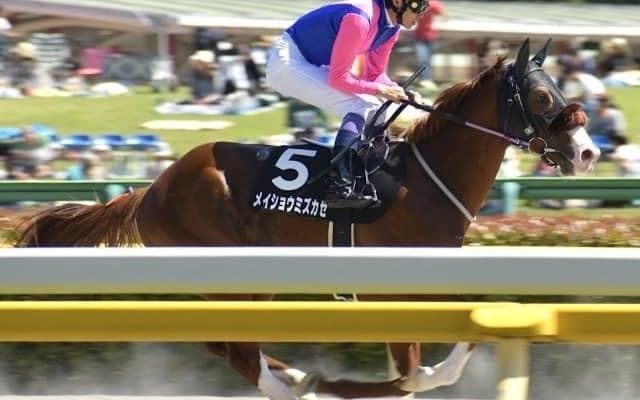 【門別競馬情報】メイショウミズカゼ、スマートアヴァロン、マリノエクスプレスら元JRA勢の追い込みが決まるか「レイデオロ・プレミアム」/地方競馬情報