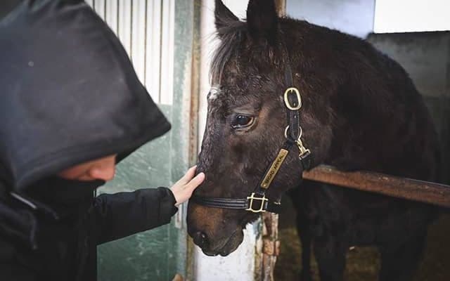 27歳で天国へ…伝説の鬼脚“ブーちゃん”ことブロードアピールの意外な素顔