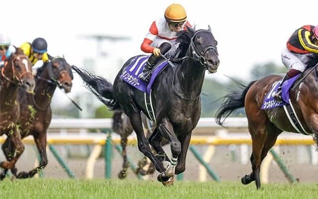 【AI予想】コース適性など条件クリアで死角は見当たらず？ 毎日王冠の注目馬を分析