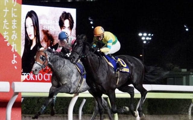 【東京盃】サクセスエナジーが交流重賞6勝目