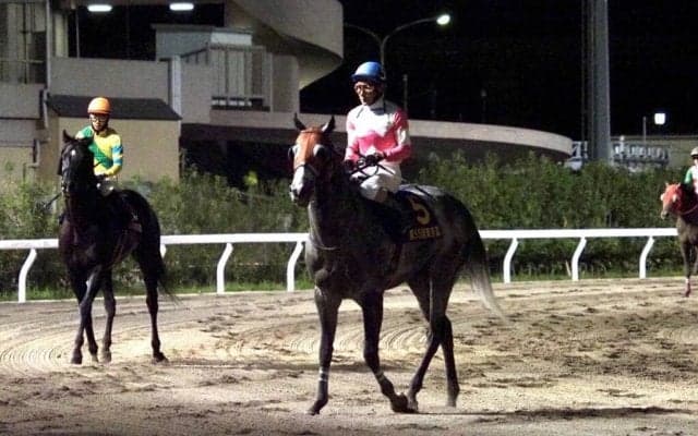 【東京盃】柴田善「前残りになってしまった」リュウノユキナは人気に応えられず