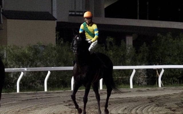 【東京盃】松山「強い姿見せてくれた」サクセスエナジーが重賞6勝目