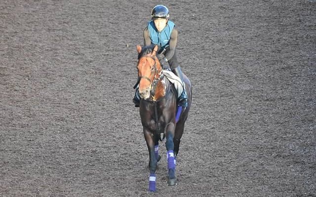 【京都大賞典「見逃せない調教師」ベスト3】複勝率は驚異の77.1％！ 阪神芝2400mで絶対に外せない調教師は？