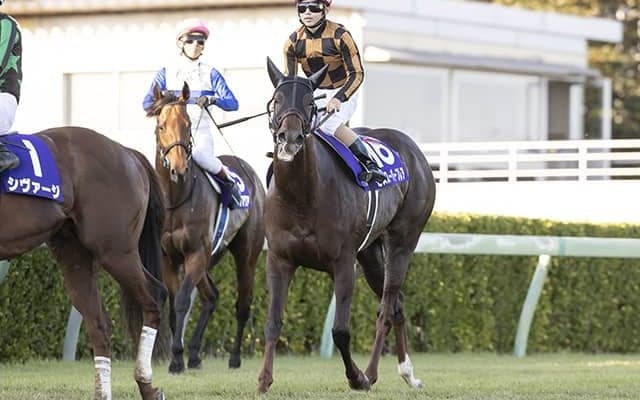 【次走】モズスーパーフレアは香港スプリントを視野に