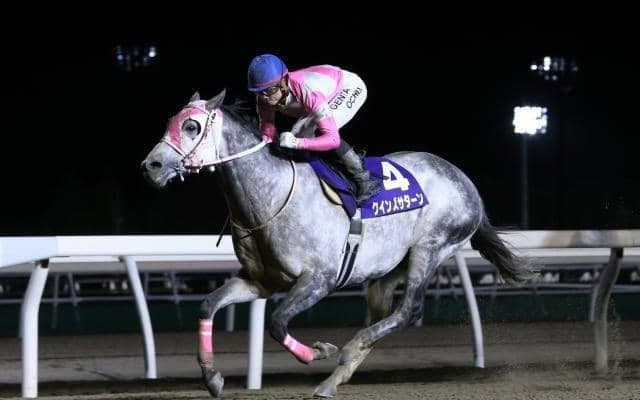 【門別競馬情報】道営記念2連覇へ王手なるかクインズサターン！雪辱期すルールソヴァール、赤レンガ記念の再現ねらうリンノレジェンドらにも注目「第54回瑞穂賞H2」/地方競馬情報