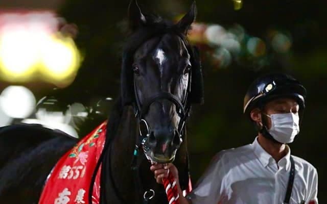 【地方競馬】大井・東京盃の売得金は9億1988万9600円で対前年比115%超