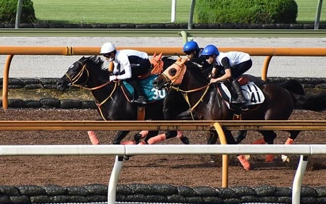 【JRA新馬戦】5.6億円ホース・ショウナンアデイブ、レイパパレの半妹レイフルなどがデビュー