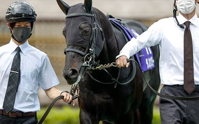 【毎日王冠出走馬・騎手確定】シュネルマイスター＆ルメール騎手、ダノンキングリー＆川田将雅騎手など13頭