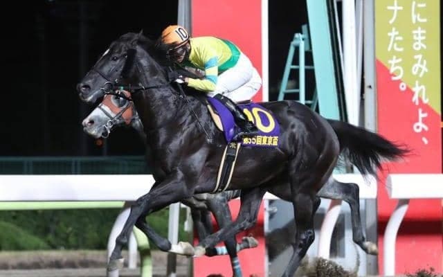 【東京盃回顧】鬼門の大井1200mで完勝サクセスエナジー/斎藤修