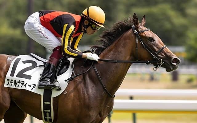 【サウジアラビアRC出走馬・騎手確定】コマンドライン＆ルメール騎手、ステルナティーア＆福永祐一騎手など7頭