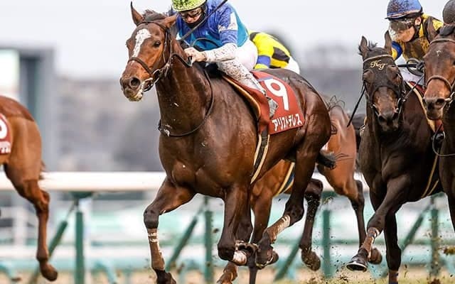 【京都大賞典出走馬・騎手確定】アリストテレス＆デムーロ騎手、ヒートオンビート＆戸崎圭太騎手など14頭