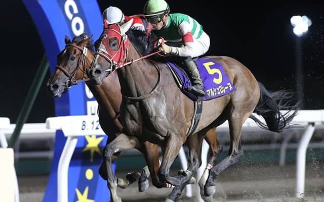 日本馬が続々参戦表明！今年は米G1・ブリーダーズCにも注目/合田直弘