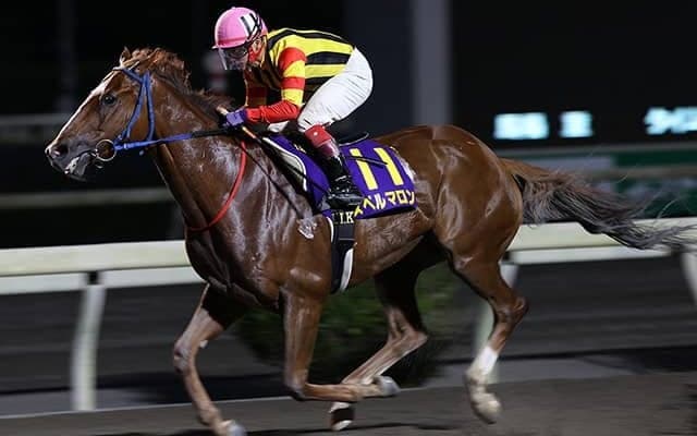 「牧場を廃業すると生産馬が走る」ジンクスを体現するスペルマロンが高知初の獲得賞金1億円に王手