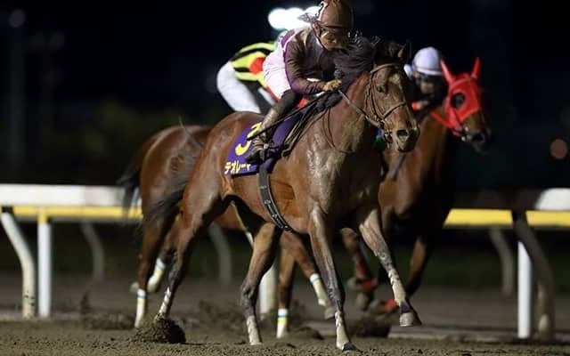 【レディスプレリュード・馬体重】ウェルドーンは510kg(+4)、テオレーマは486kg(-2)