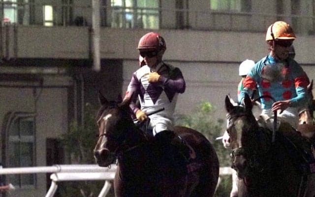 【レディスプレリュード】川田「次に向けて準備」レース後ジョッキーコメント