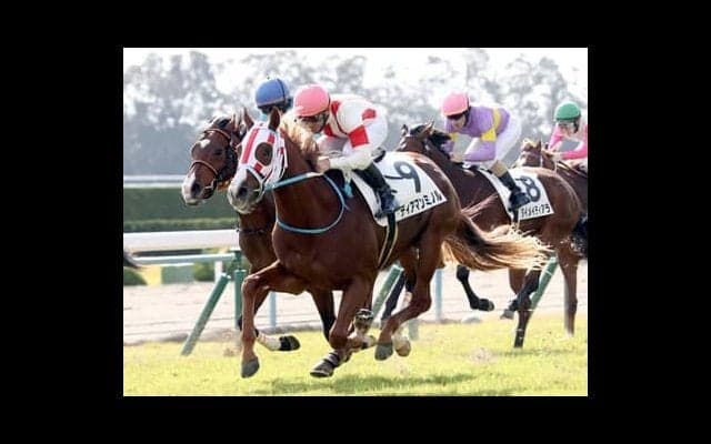 今年の京都大賞典は「阪神／芝2400ｍ」のコース実績と血統で３頭をピックアップ