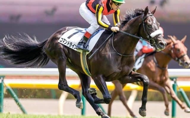 【サウジアラビアRC枠順確定】コマンドラインは6枠6番、ステルナティーアは3枠3番