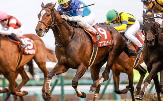 【京都大賞典枠順確定】アリストテレスは6枠9番、ヒートオンビートは8枠14番